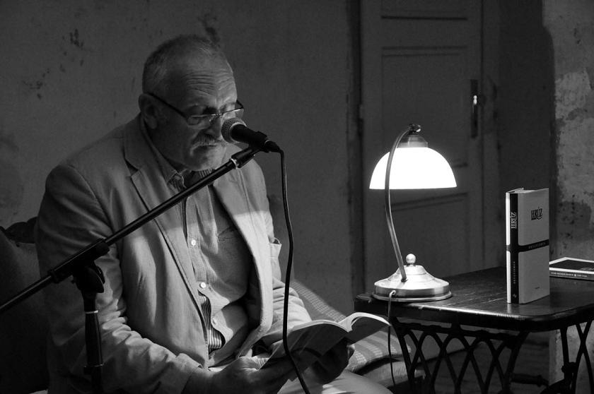 Literárne kino: Spomienka na Pavla Hrúza (13. 8. 2009, foto Ferko Brezovský)